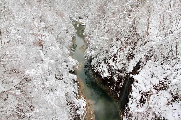 Oyasuki쿄 (Oyasukyo Gorge)