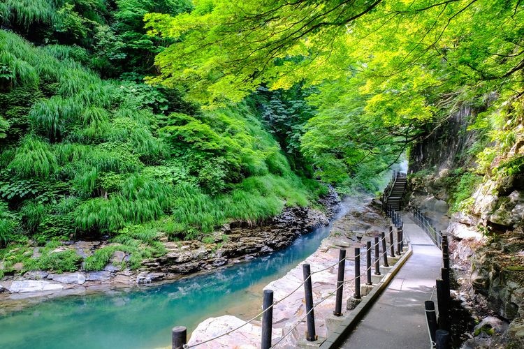 Oyasuki쿄 (Oyasukyo Gorge) 4