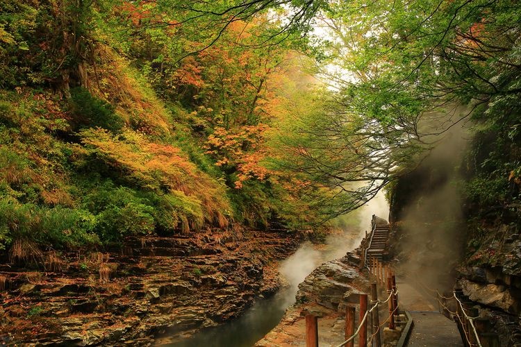 Oyasukyo Gorge 7