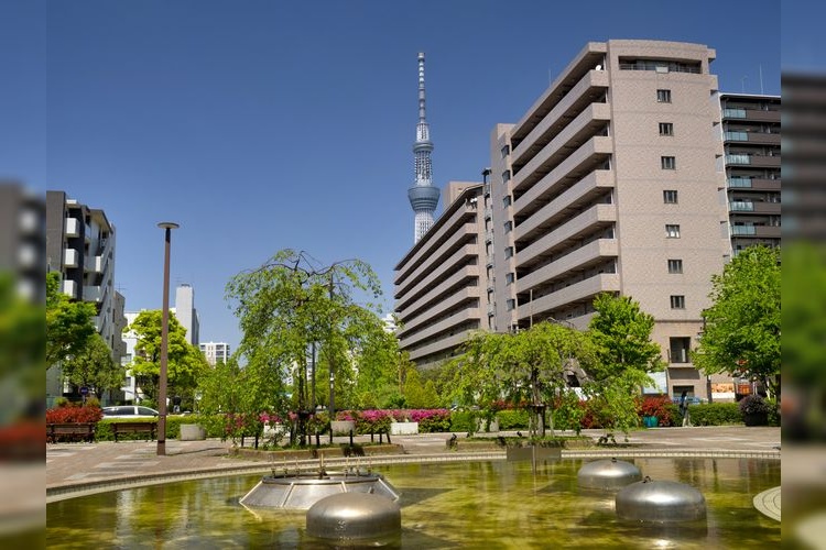 สวนสาธารณะโอโยคาวะ ชินซุย (O Yokogawa Shinsui Park)