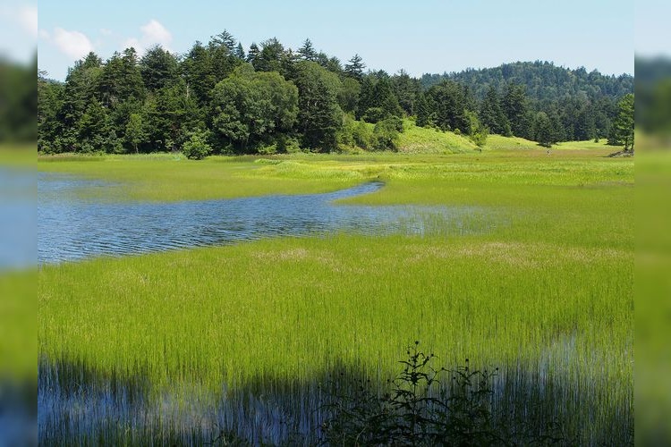 Oze (Gunma Side)