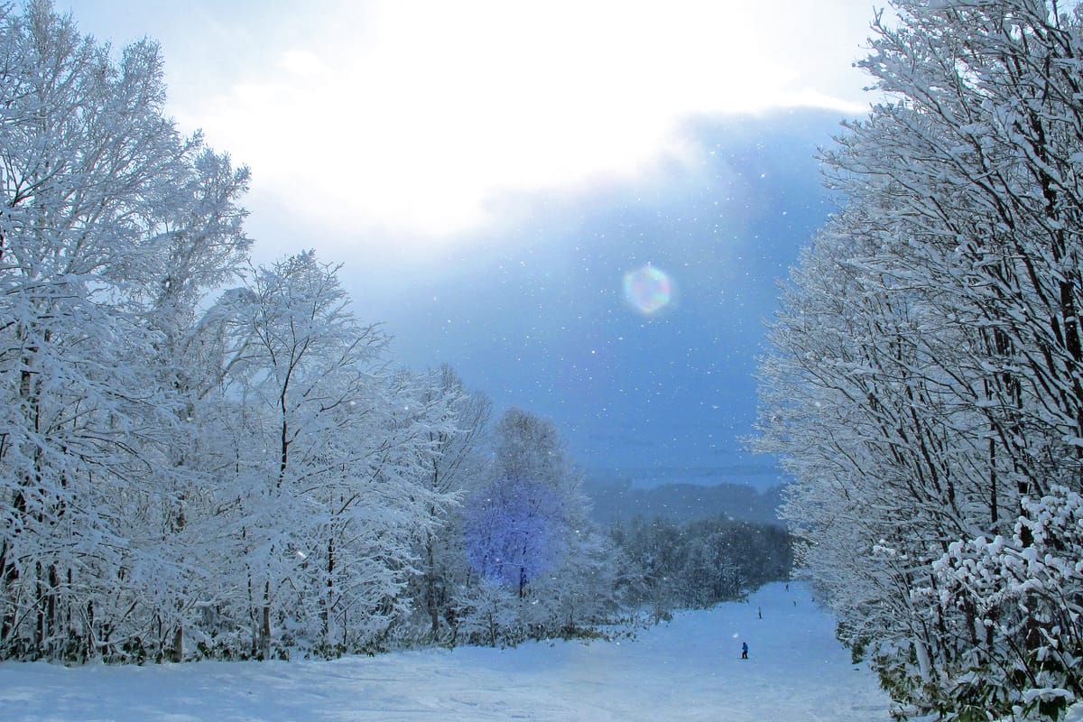 Pippu Ski Resort
