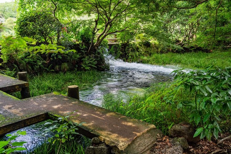 Rakujuen Park 2