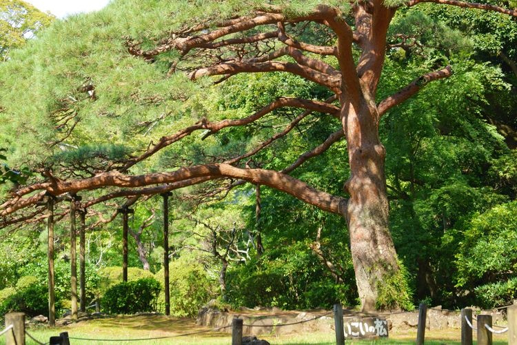 Rakujuen Park 3