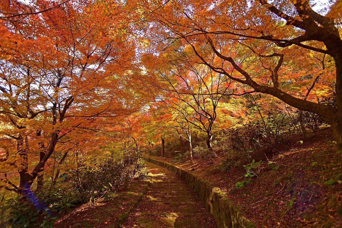莲华院诞生寺奥之院