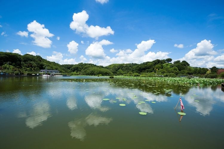 สวนเร็งกะจิอิเกะ (Rengejiike Park) 3