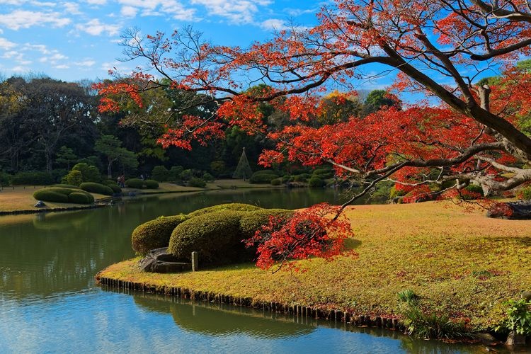 리쿠기엔 (Rikugien Garden)