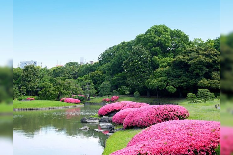 리쿠기엔 (Rikugien Garden) 3