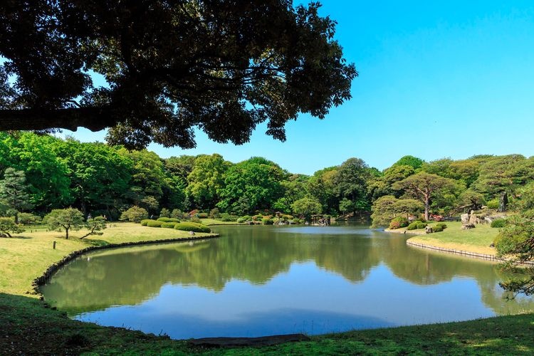 리쿠기엔 (Rikugien Garden) 6