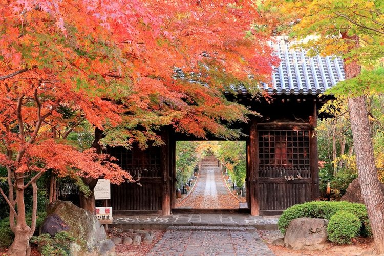 Rinno-ji Temple 2
