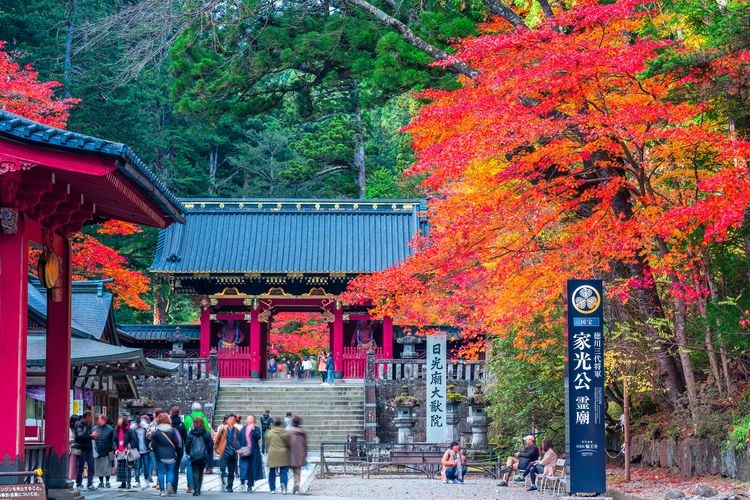 Rinno-ji Tempel 3