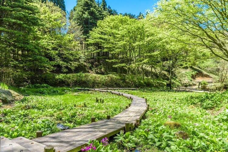 六甲高山植物园