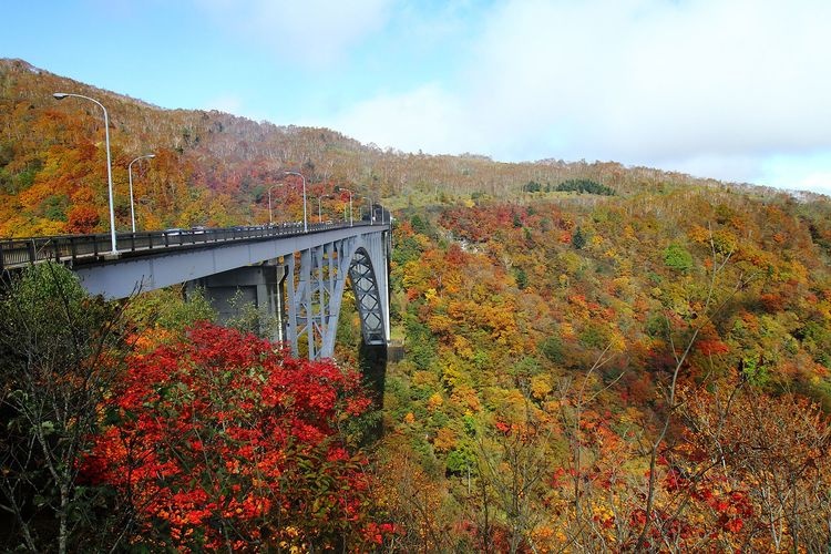 Roppozawa Bridge 3