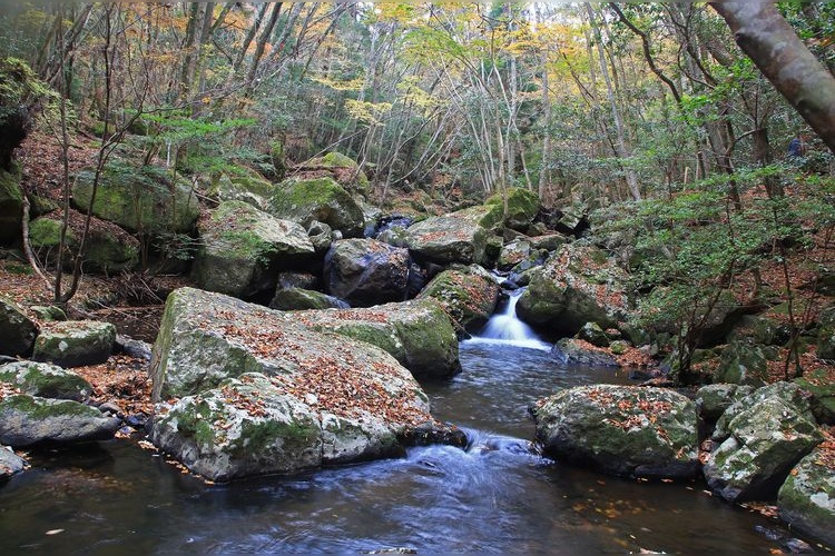 Rurikei 2