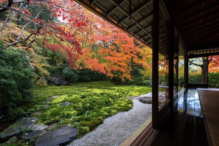 瑠璃光院