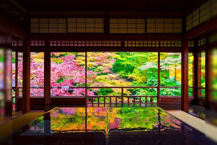 瑠璃光院 2