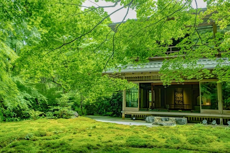 瑠璃光院 6