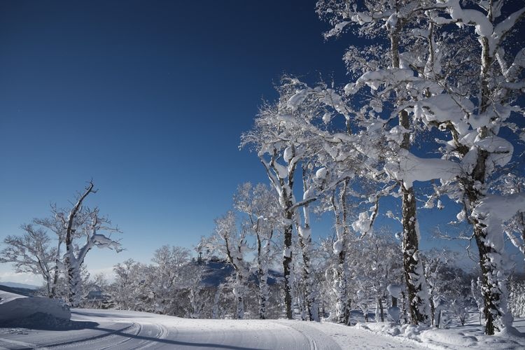 留蘇都度假村滑雪場 (Rusutsu Resort)