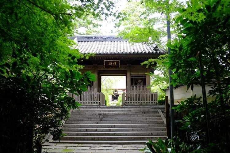 Ryotanji Temple 2