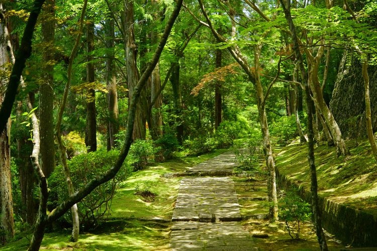 Ryozan-ji 2