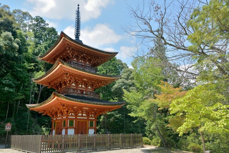 Ryozan-ji 3