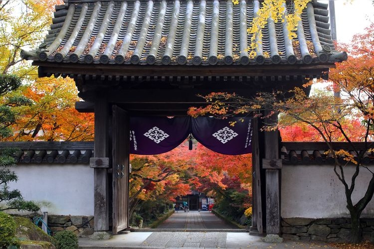 Ryufuku-ji Temple 4