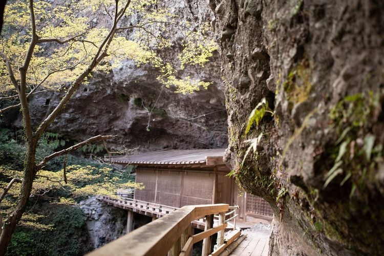 Ryugan-ji Temple 3
