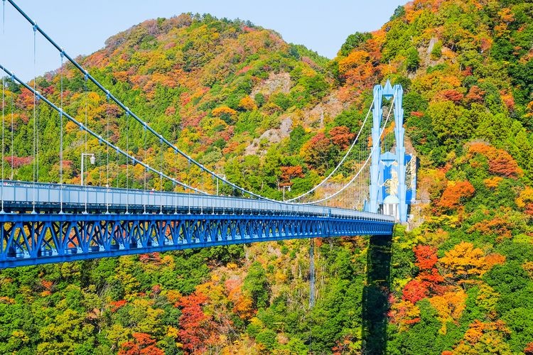 竜神大吊橋 3