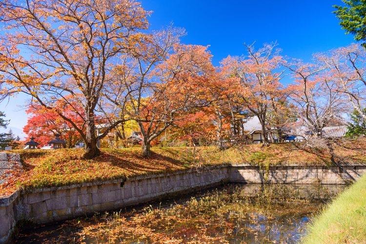 Ryo-oka Castle