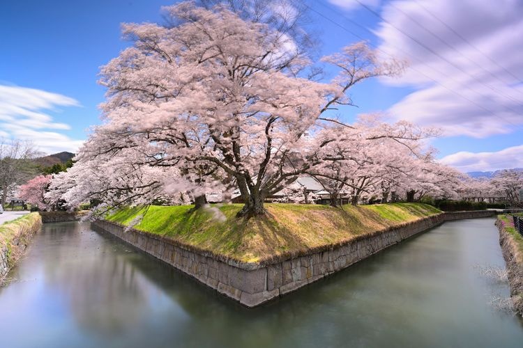 Ryo-oka Castle 2