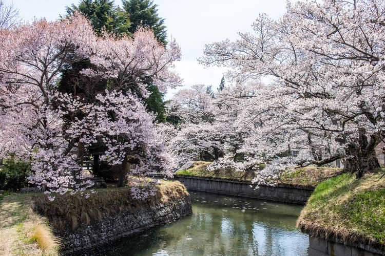 Ryo-oka Castle 4