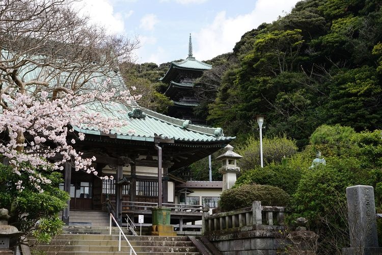 Ryukoguji Temple