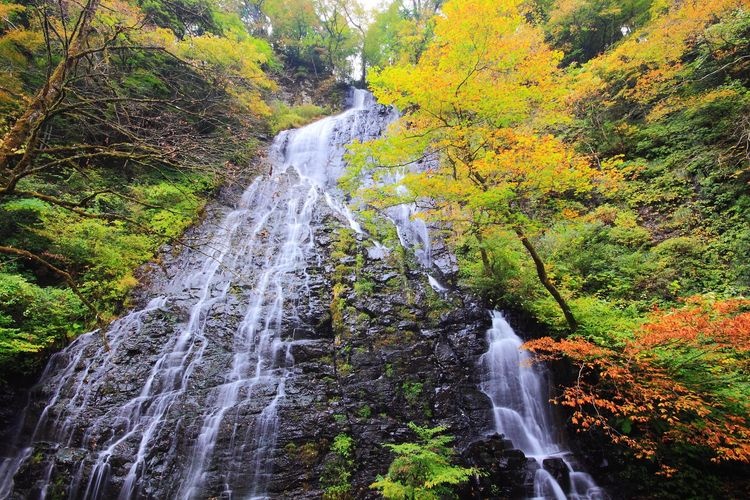 龍雙瀑 (Ryusoga Falls)