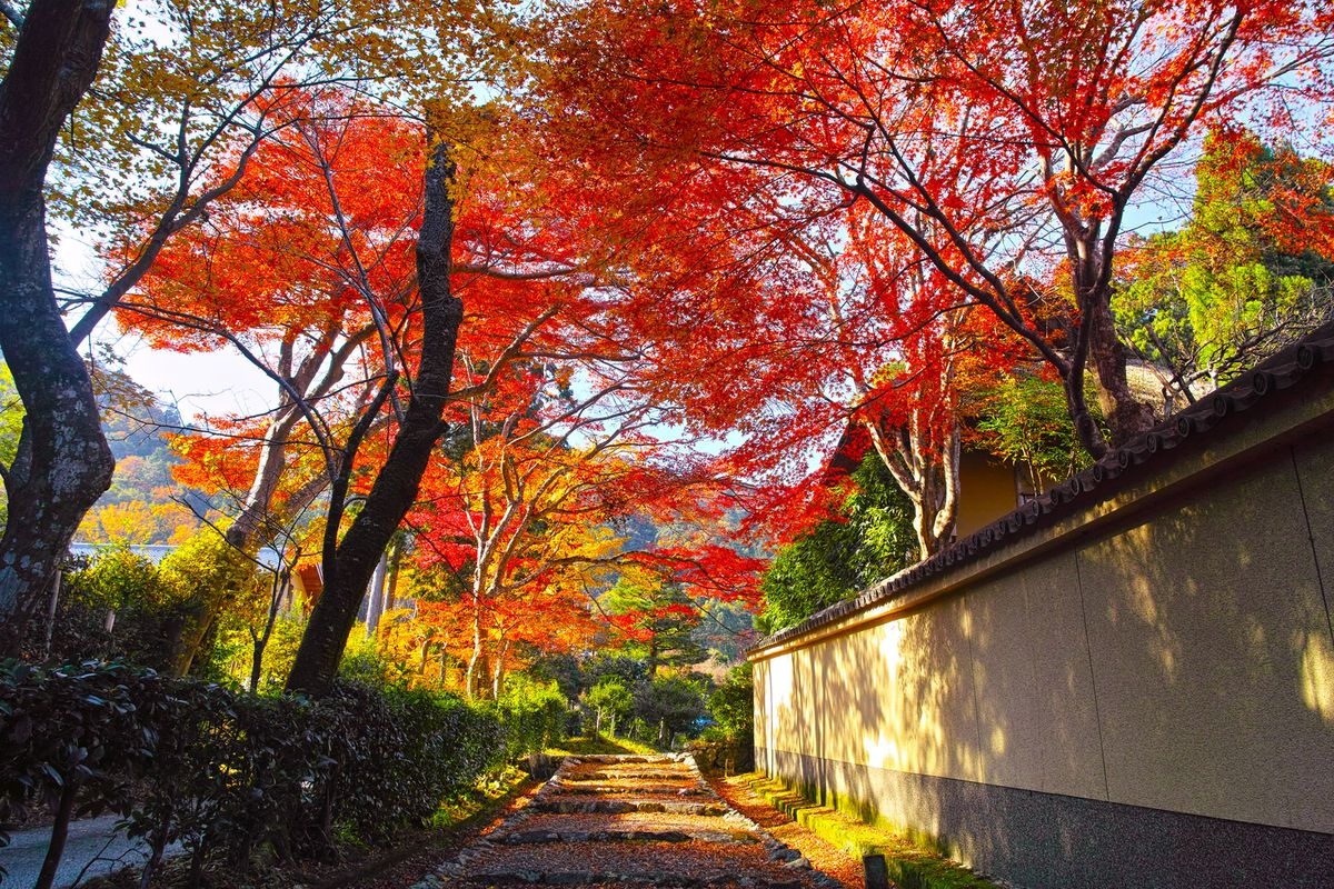 嵯峨鸟居本传统建筑群保存地区