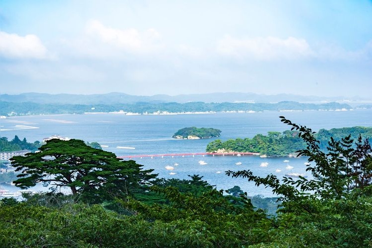 사이교모도시노마츠 공원