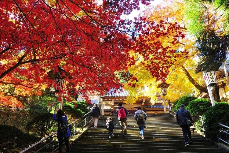 大雄山最乗寺 9