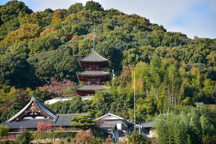 Saikokuji Temple