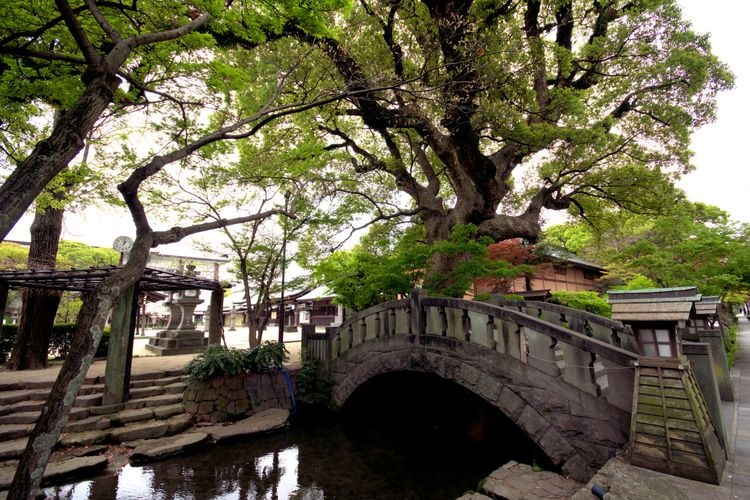 Saga Jinja Shrine