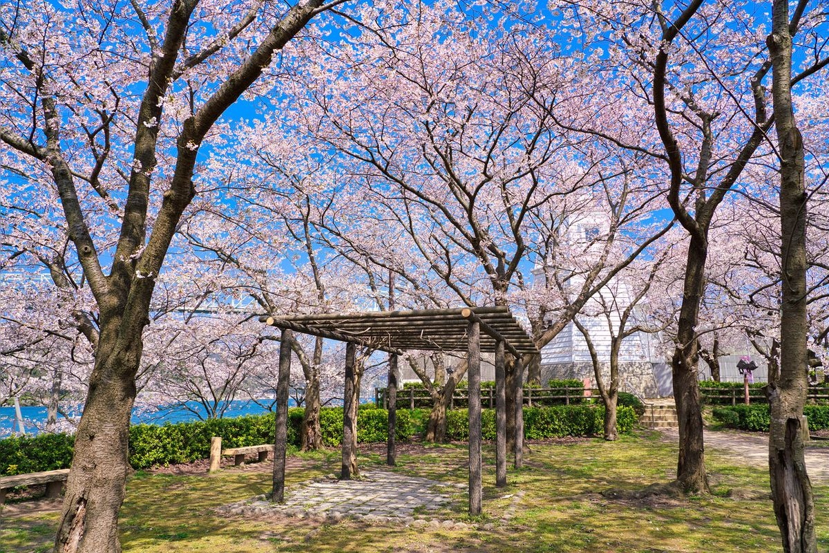 境台場公園 (Sakai Daiba Park)