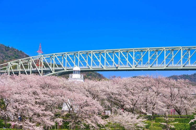 Sakai Daiba Park 3