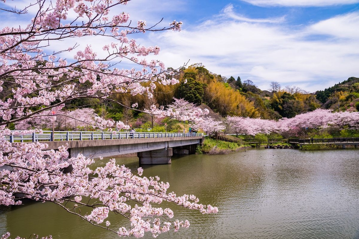 佐久間湖親水公園