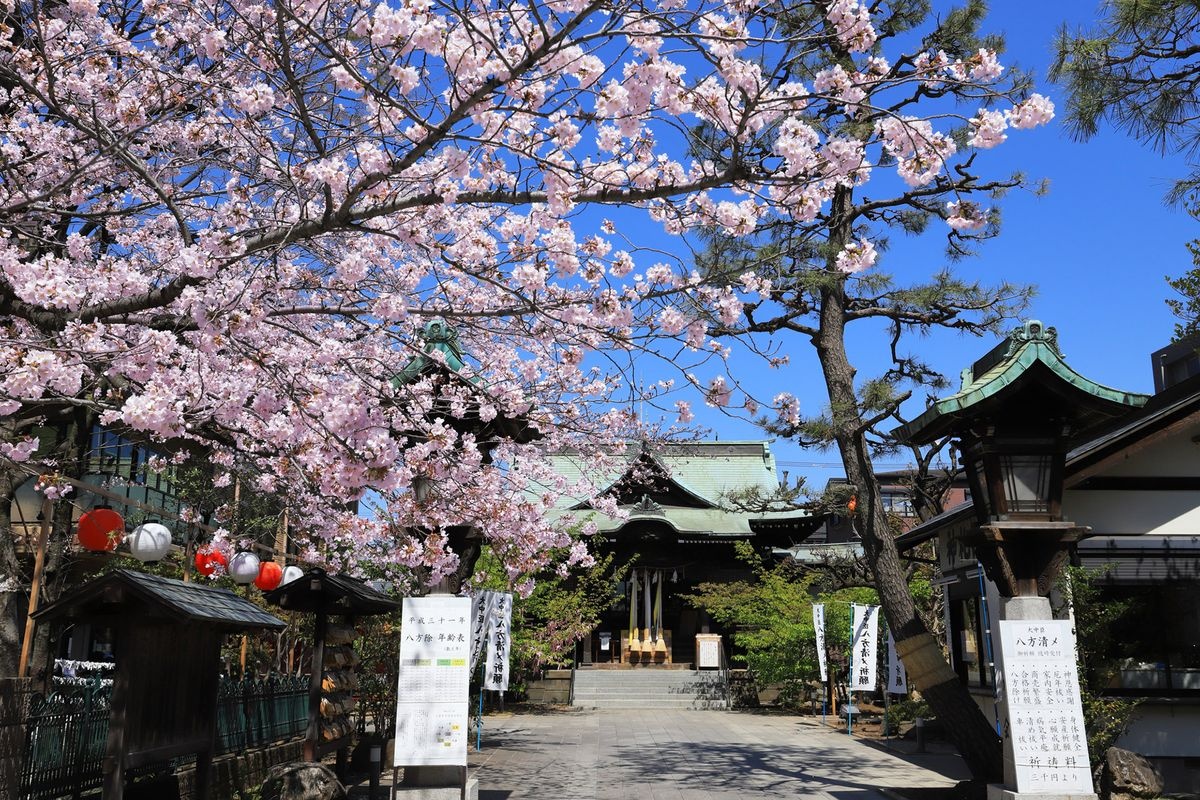 Sakura Jingū