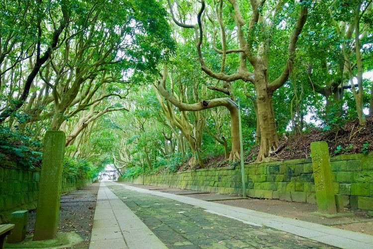Saredo Isozaki Jinja