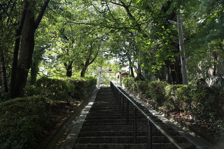 Santuario Sakurayama Jinja