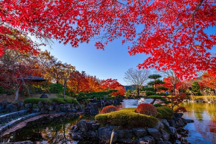 Sakurayama Park