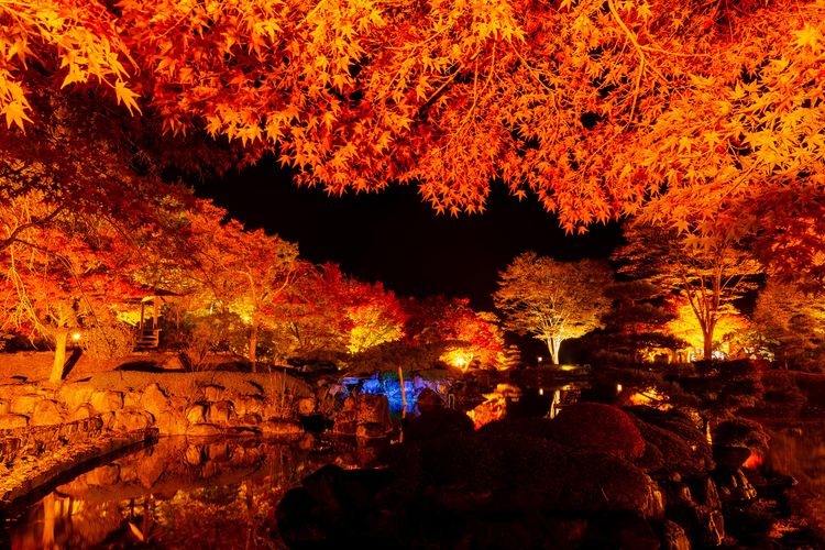 Sakurayama Park 2