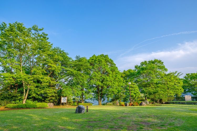 Sakurayama Park 3