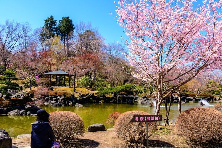Parc Sakurayama 6