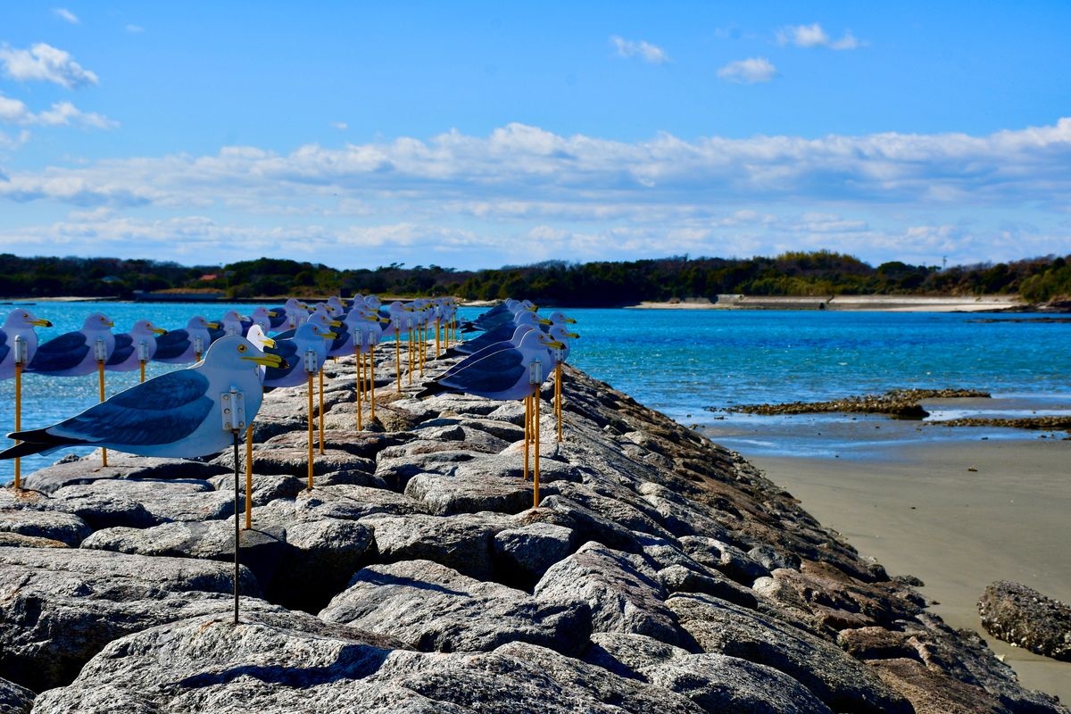 เกาะซากุชิมะ (Sakushima)