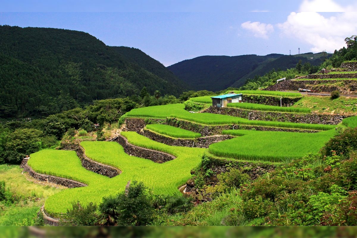 Ogina Rice Terraces